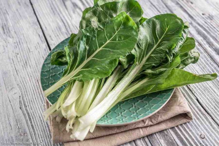 comment cuisiner les blettes