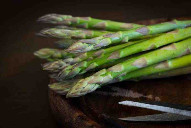 comment cuisiner des asperges