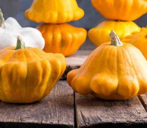 Comment cuisiner le patisson