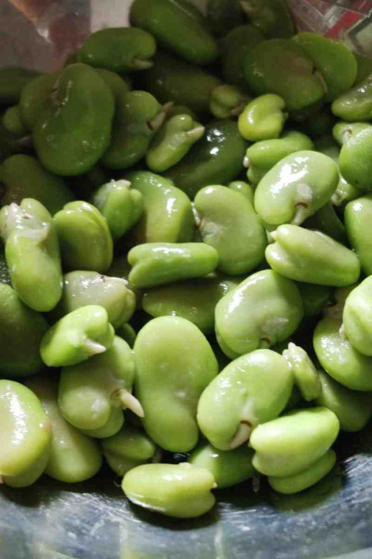 comment cuisiner les feves