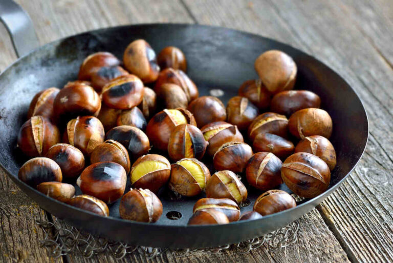 comment cuisiner des chataignes