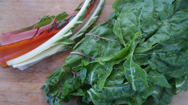 comment cuisiner les cotes de blettes