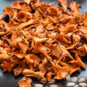 Comment cuisiner des girolles