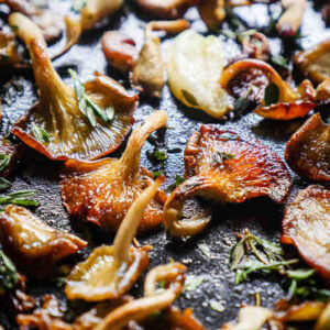 Comment cuisiner des pleurotes