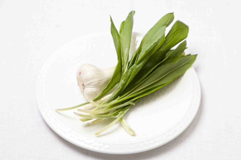 comment cuisiner l ail des ours